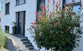 Gemuetliche Villa Am Waldrand In Taunusstein