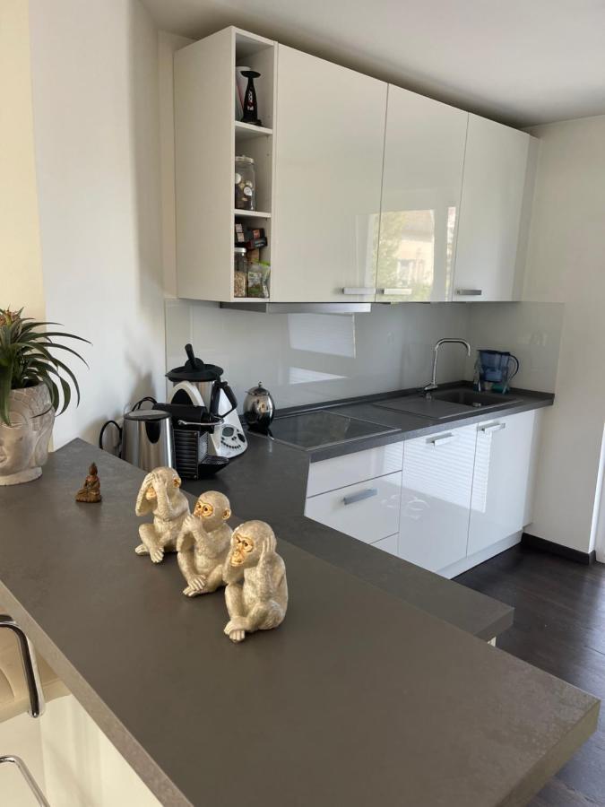 Gemuetliche Villa Am Waldrand In Taunusstein Exteriér fotografie